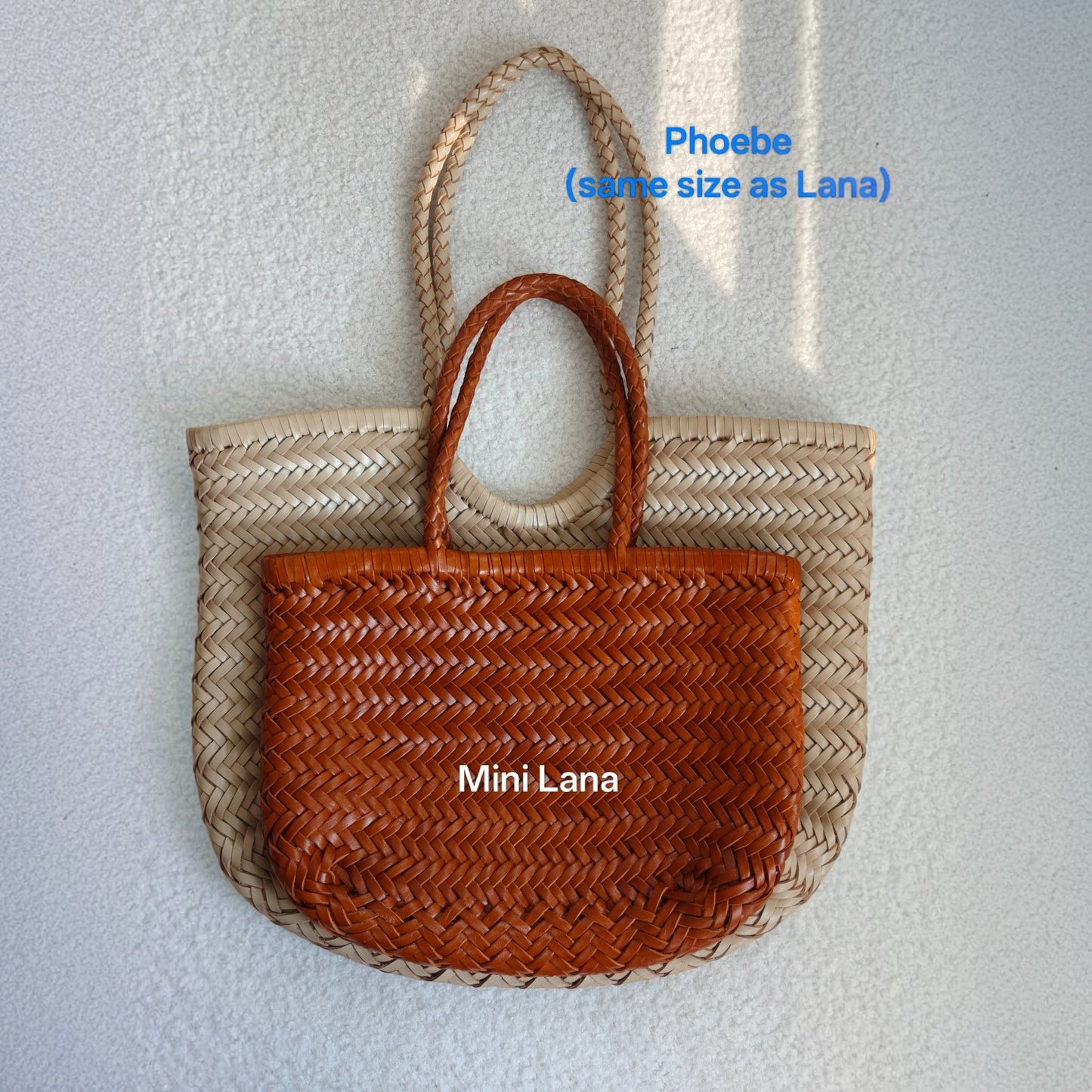 Lana Mini Woven Leather Tote Bag